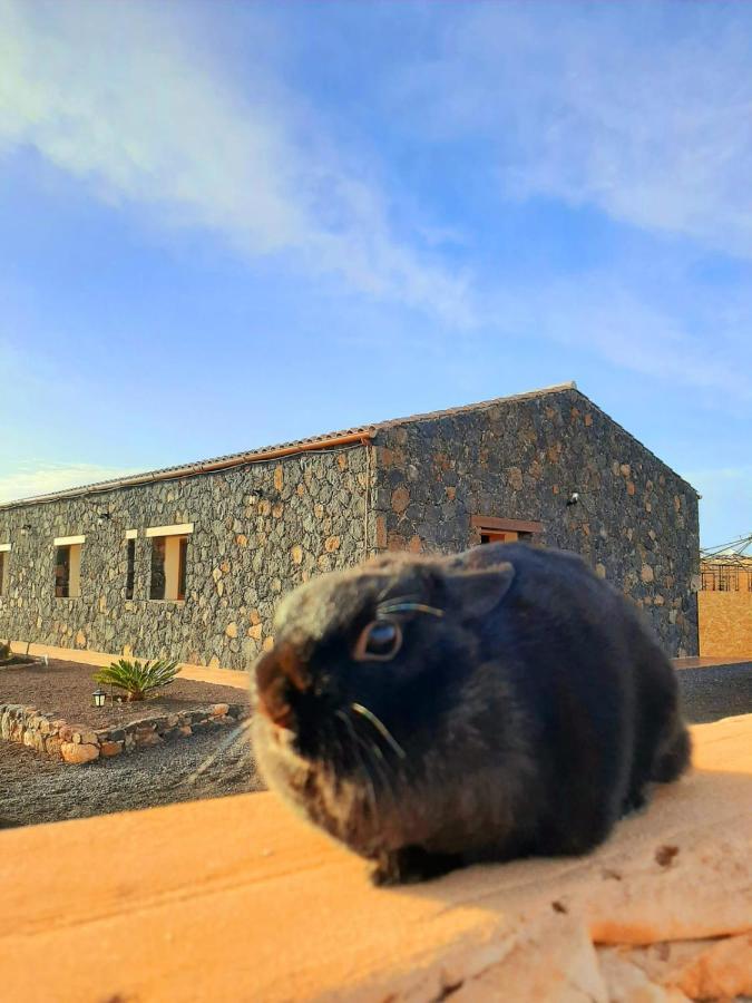 Agriturismo El Bounty1 Puerto del Rosario  Ngoại thất bức ảnh